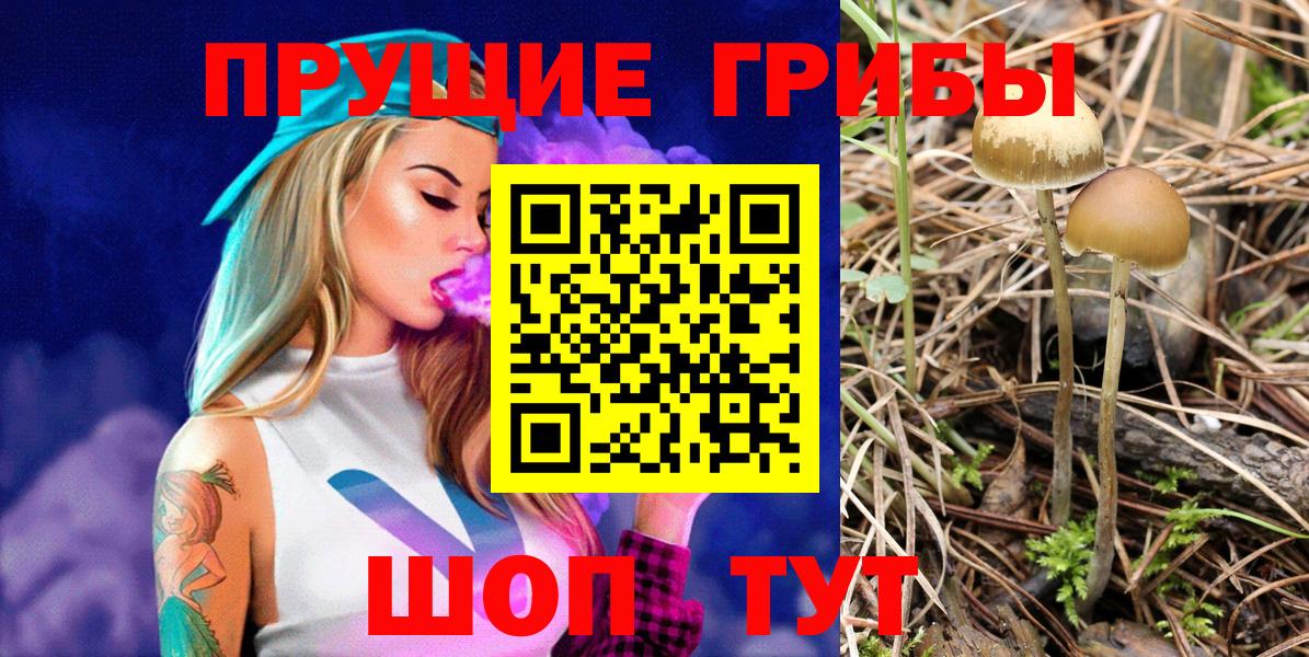 Псилоцибиновые грибы прущие грибы Калач-на-Дону