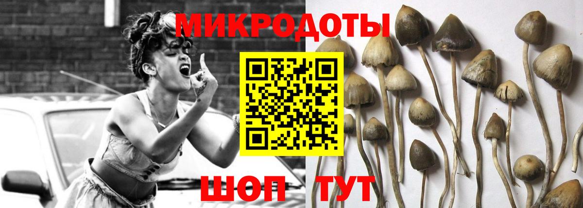 Калач-на-Дону  Галлюциногенные грибы Magic Shrooms  Вход с VPN 